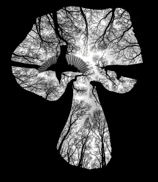 الفائزون بمسابقة فن التصوير القريب بنسخته الخامسة...